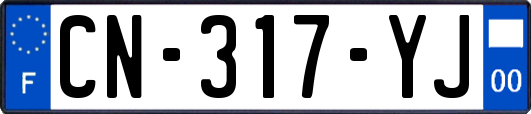 CN-317-YJ