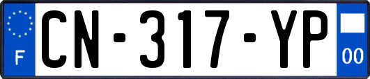 CN-317-YP