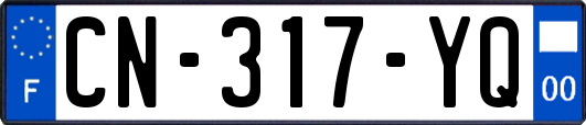 CN-317-YQ