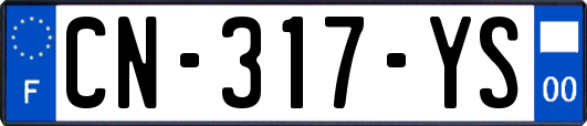 CN-317-YS
