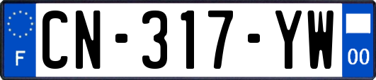 CN-317-YW