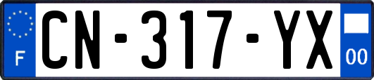 CN-317-YX