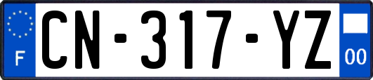 CN-317-YZ