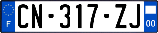 CN-317-ZJ