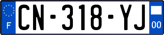 CN-318-YJ