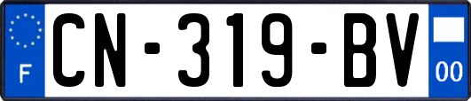 CN-319-BV