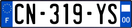 CN-319-YS