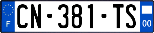 CN-381-TS