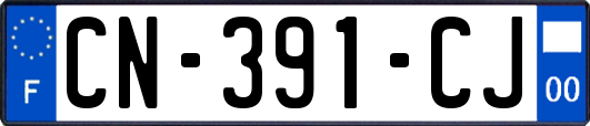 CN-391-CJ