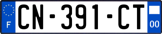 CN-391-CT