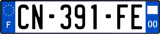 CN-391-FE