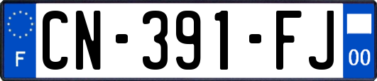 CN-391-FJ