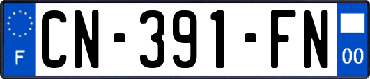 CN-391-FN