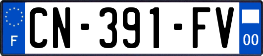 CN-391-FV