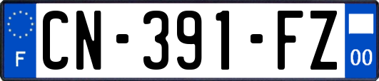 CN-391-FZ