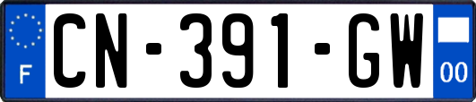CN-391-GW