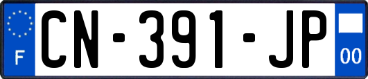 CN-391-JP