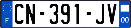CN-391-JV