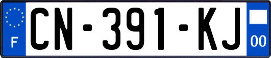 CN-391-KJ