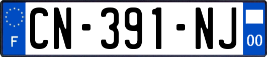 CN-391-NJ
