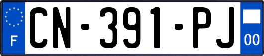 CN-391-PJ