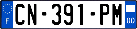 CN-391-PM