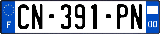 CN-391-PN