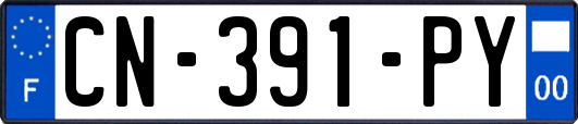 CN-391-PY