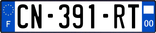 CN-391-RT