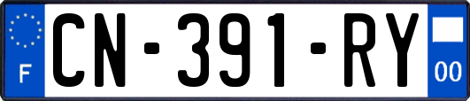 CN-391-RY