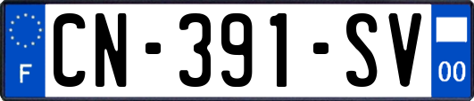 CN-391-SV