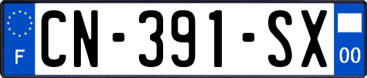 CN-391-SX