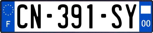 CN-391-SY