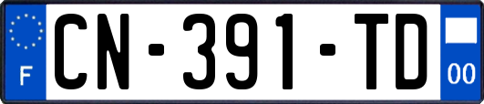 CN-391-TD