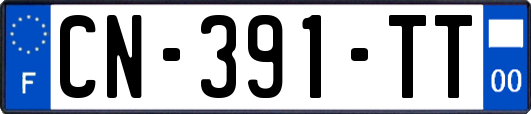 CN-391-TT