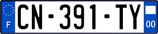 CN-391-TY