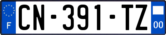 CN-391-TZ
