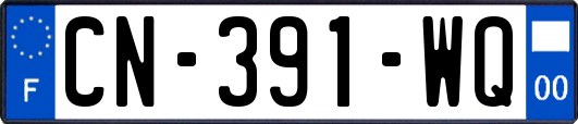 CN-391-WQ