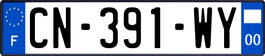 CN-391-WY