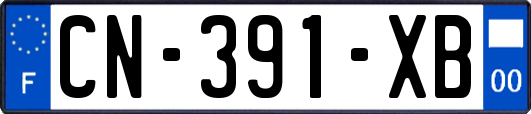 CN-391-XB
