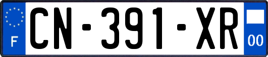 CN-391-XR