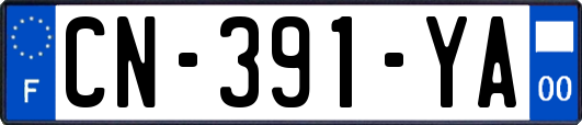 CN-391-YA