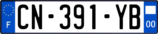 CN-391-YB