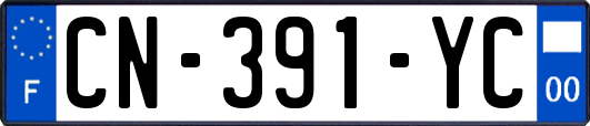 CN-391-YC