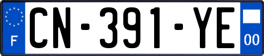 CN-391-YE