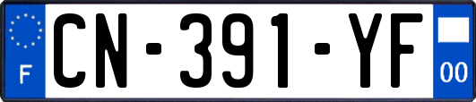 CN-391-YF