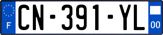 CN-391-YL