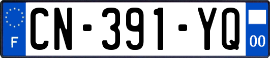 CN-391-YQ