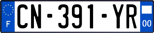CN-391-YR