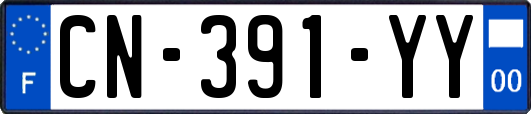 CN-391-YY